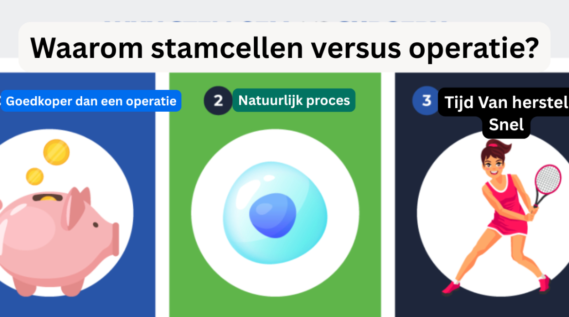 Why stem cell