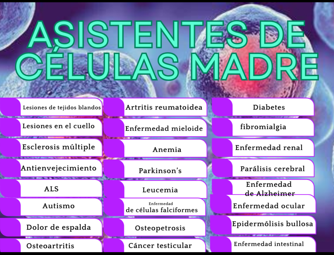 Why stem cell