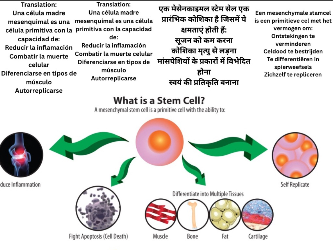 Why stem cell